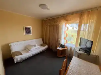 Новый лес - 21