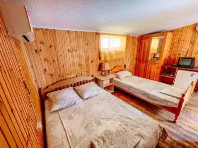 Динамо 2 - 51