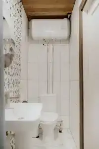 Дзик - 21