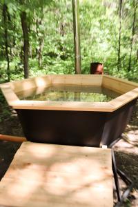 Сосновка - 17