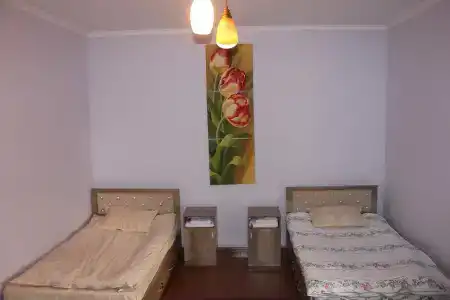 Ariya - 10