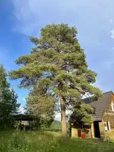 Ладога рядом - 20