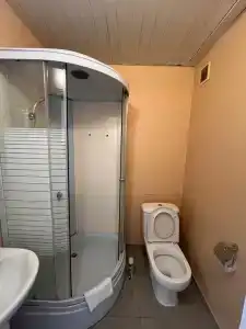 Новый лес - 9