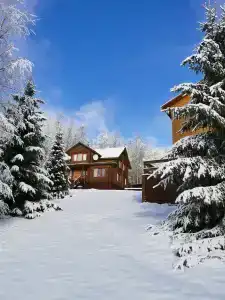 Лесное озеро - 16
