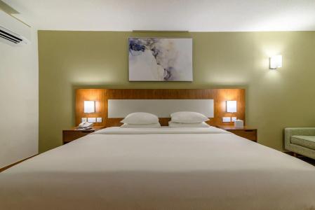 Dhafra Beach - Pet Friendly - 11
