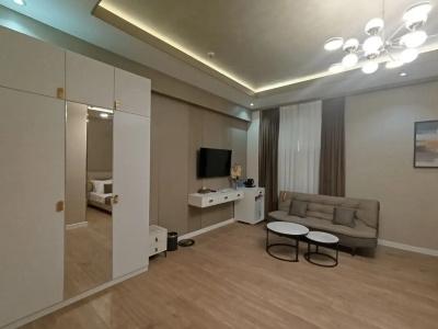 Art Regency Premium Free Airport Service - 7
