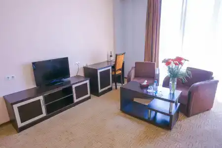 Ani Central Inn - 23