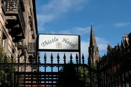 Thistle - 65