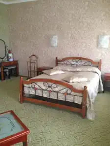 Шатура Холл - 110