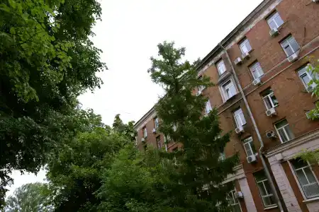 Большая Семья - 30