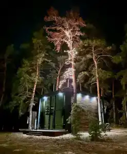 А-Пушкин - 56