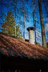 Таежные Бани - 21