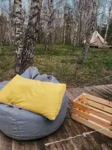 Звездный лес - 11