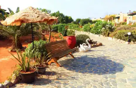 Zorbas Beach Village - 25