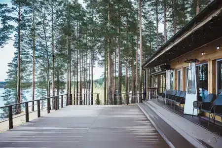 Лесная Рапсодия - 0