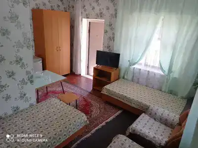 Подсолнухи - 26