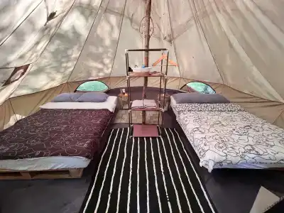 Звездный лес - 138