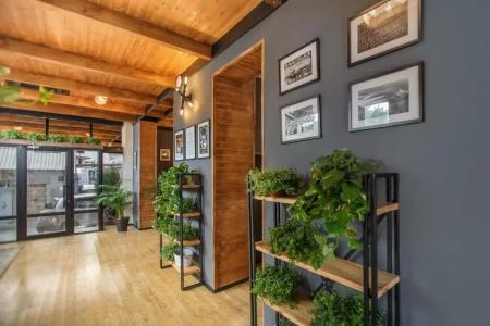Timber Boutique - 12