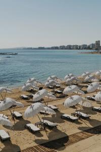 Arkin Palm Beach - 17