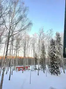 Вейкпарк Волма - 223