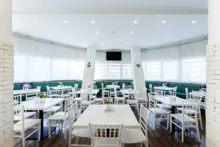 Cruise - 25
