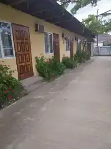 у Дианы - 3