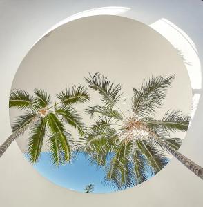 Baobab Suites - 21