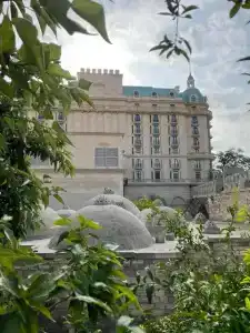 Royal Antique - 8