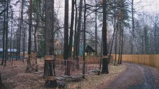 Слобода - 40