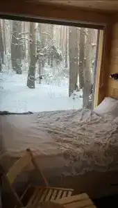 Место под соснами - 8