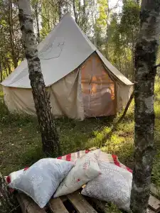 Звездный лес - 90