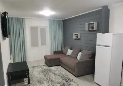 Фортуна - 115