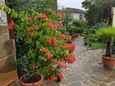 Крым - 9