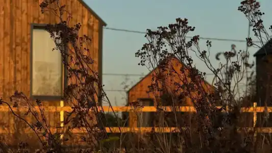 Белый сад - 2