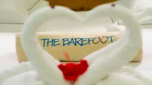 The Barefoot Eco - 41