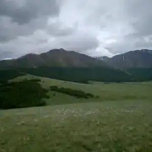 Алмат - 11