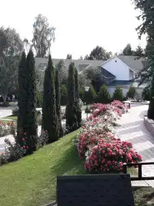 Каприз - 6