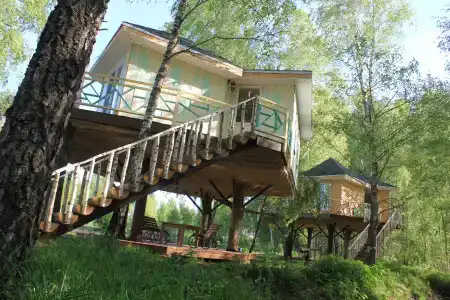 Дом на Дереве - 111