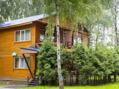 Царский лес - 42