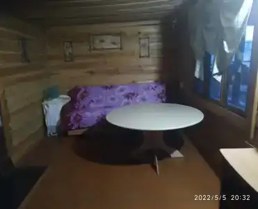 Байкальский кедр - 16