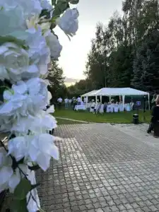 Дубровки Лесное - 9