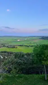 Celebi Garden - Sustainable Tourism Pet Friendly - 2