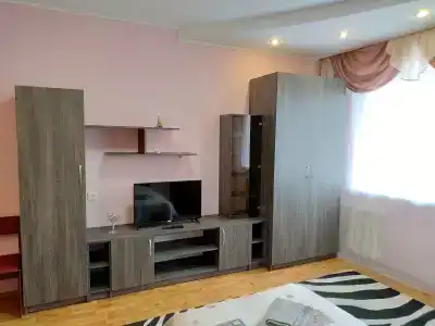 Большая квартира с кондиционером на пр Ленина - 2
