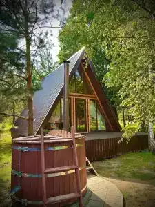 Три лисы - 4
