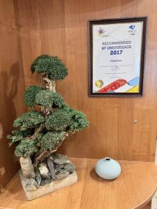 Mini Keremet - 25