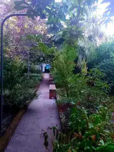 California - 16