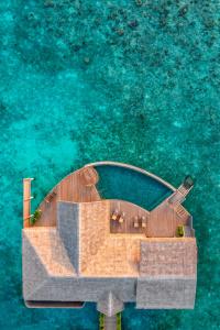 Milaidhoo Island Maldives - 74