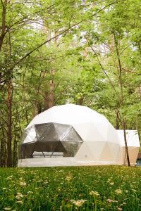 Сосновка - 0