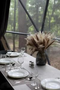 Сосновка - 22