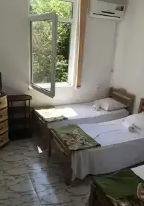 Флора - 10